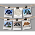 Nagy-Magyarország házszámtábla