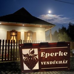 Világító EGYEDI TERVEZÉSŰ/LOGOS cégtábla